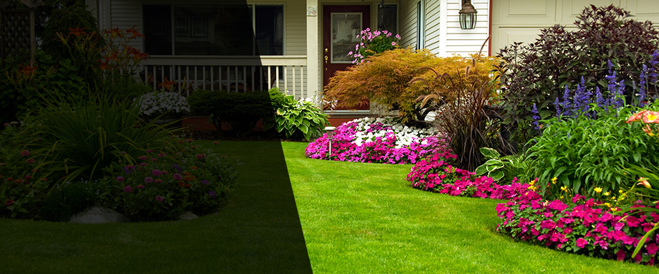 Starkville Landscapers