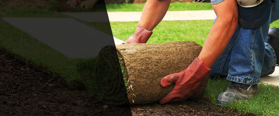 Starkville Landscapers